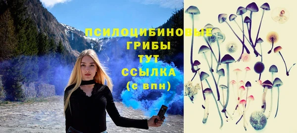 ALPHA PVP Алзамай