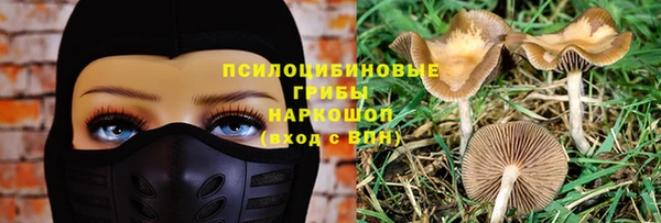 героин Алексин