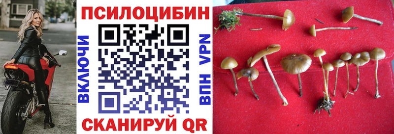 Псилоцибиновые грибы мухоморы Тара